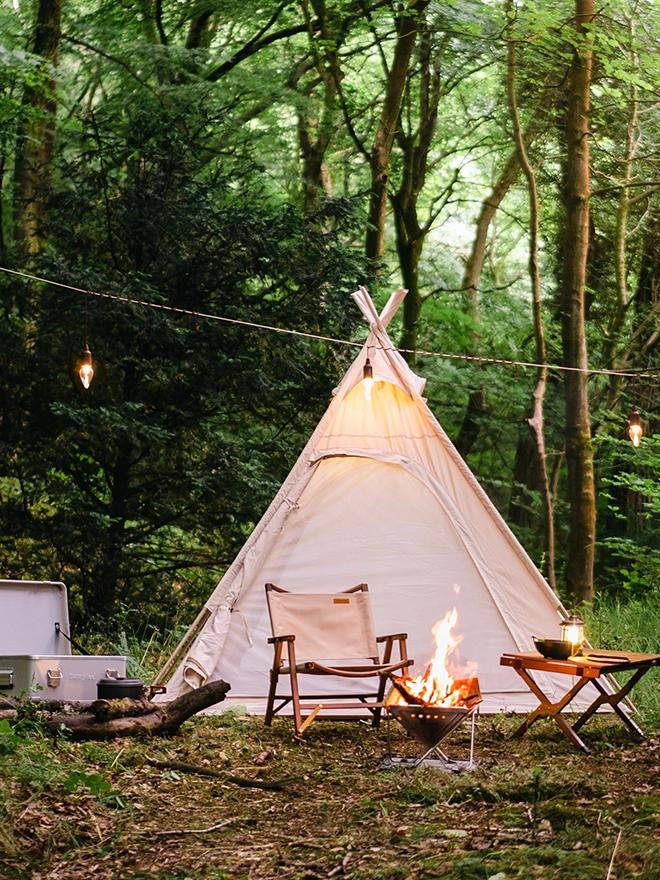 Case Studies at a Glance