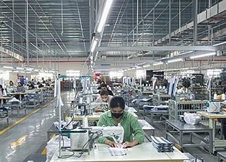 The Development & Capability of Vietnam Manufacture